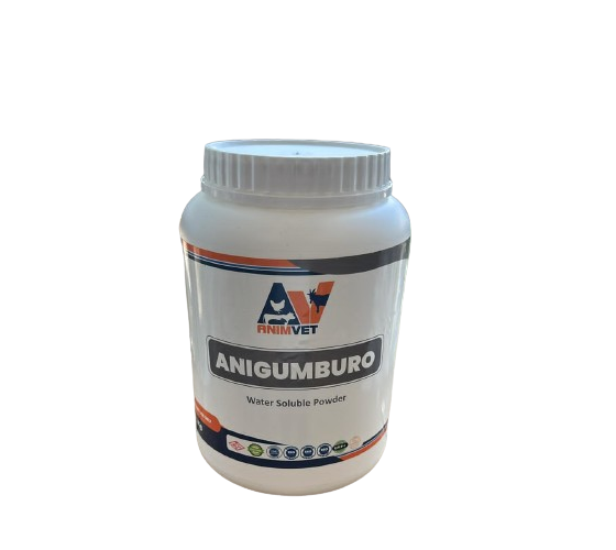 ANIGUMBURO WS